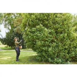 Taille-haies sur perche à batterie HLA 135 (sans batterie ni chargeur) - STIHL - HA04-200-0001 -Outil De Jardin Soldes Boutique AFD 133484