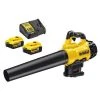 Souffleur XR Brushless Dewalt DCM562PB 18 V + 2 batteries 5.0 Ah + chargeur 12 Souffleur XR Brushless Dewalt DCM562PB 18 V + 2 batteries 5.0 Ah + chargeur -Outil De Jardin Soldes Boutique AFD 87630